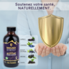 booster-immunite-naturel-antioxydant-sureau