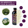 immunite-antioxydant-puissant-complement-naturel1